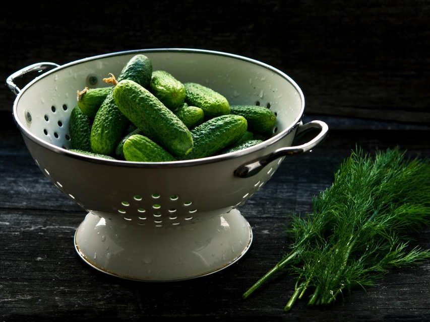 Cucumber