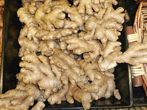 Ginger