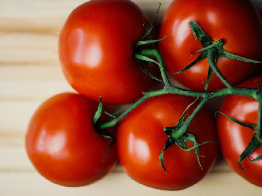 Tomato